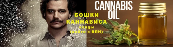 синтетический гашиш Дегтярск