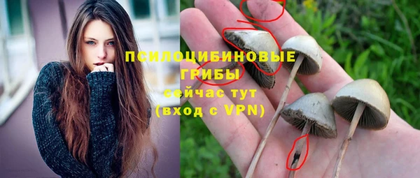синтетический гашиш Дегтярск