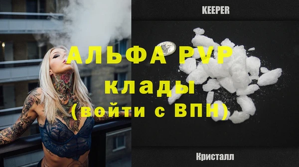 apvp Магас