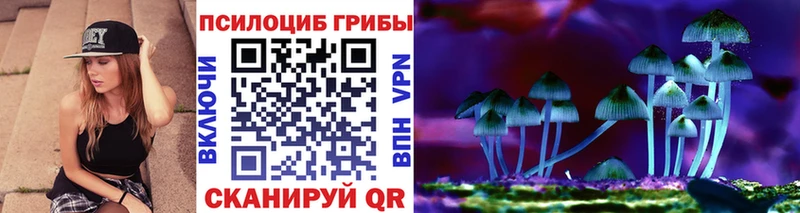 Псилоцибиновые грибы Cubensis Липки